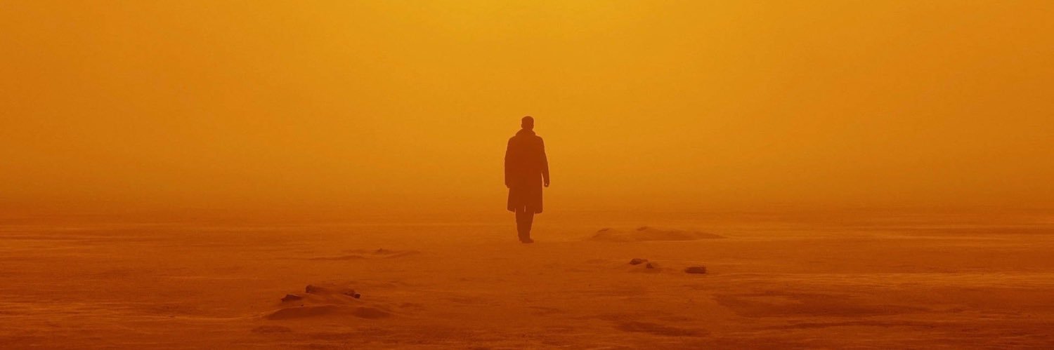 mvalech4's profile banner image