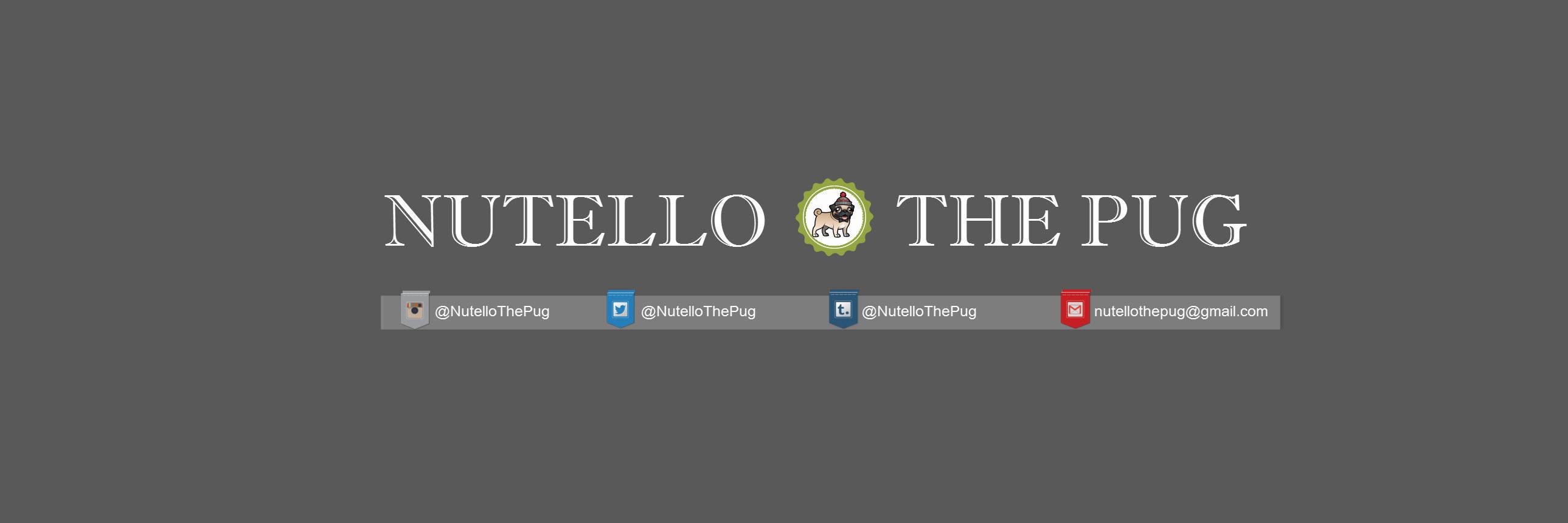 NutelloThePug's profile banner image