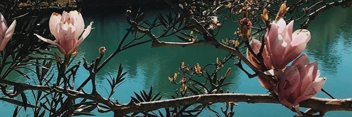 nihan_yildiz's profile banner image
