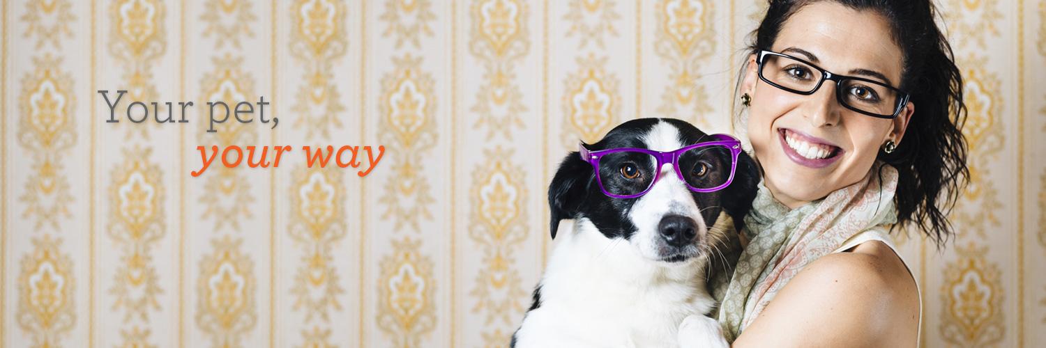 PetchaNetwork's profile banner image