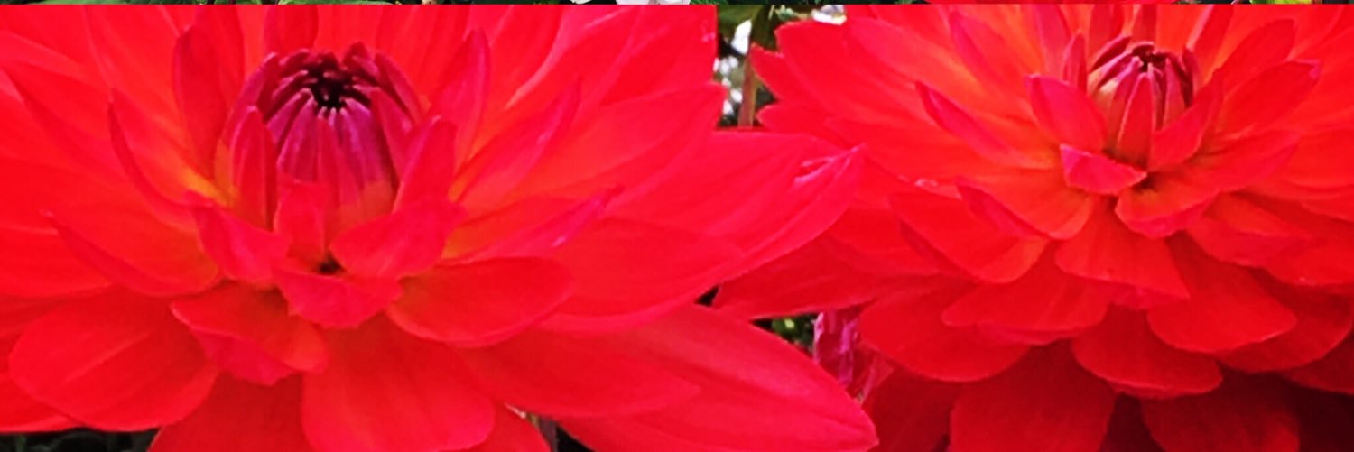 fletchera788's profile banner image