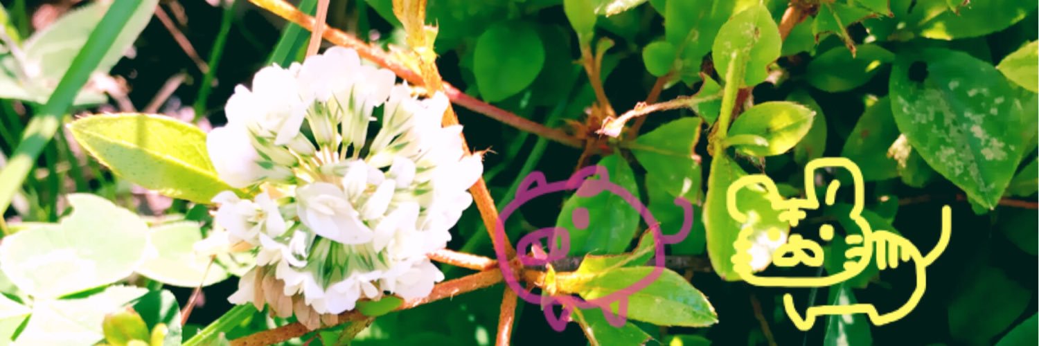 natya05's profile banner image