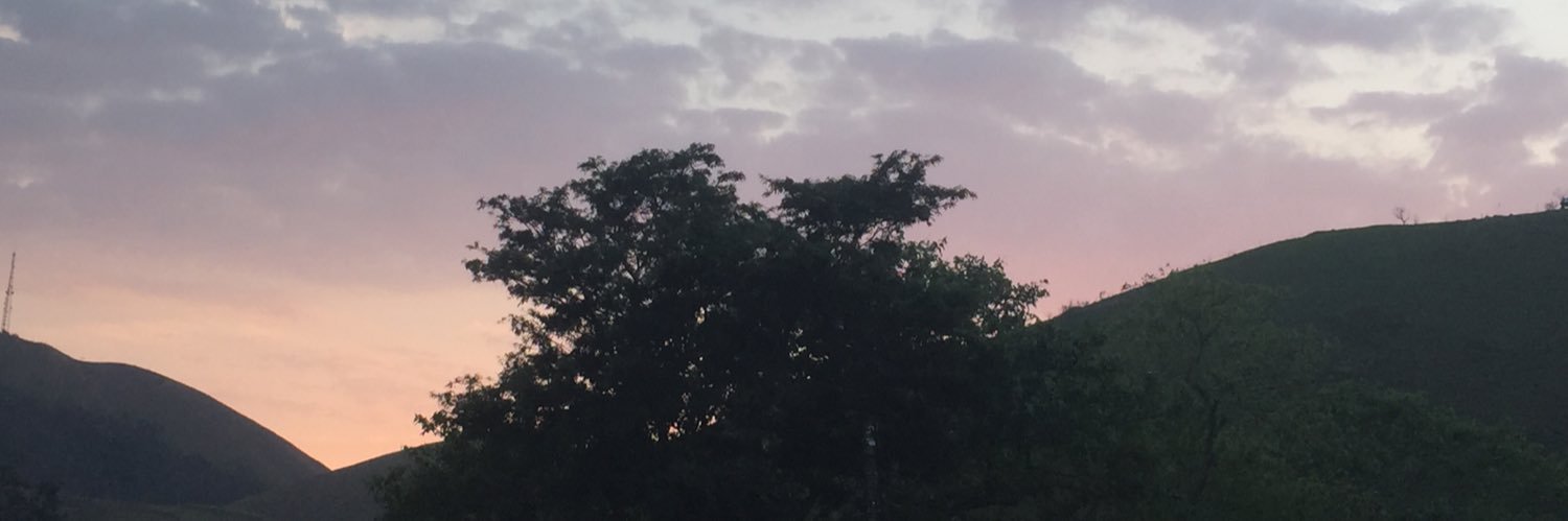 Iane_BP's profile banner image