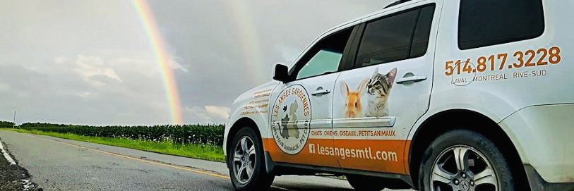 lesangesmtl's profile banner image