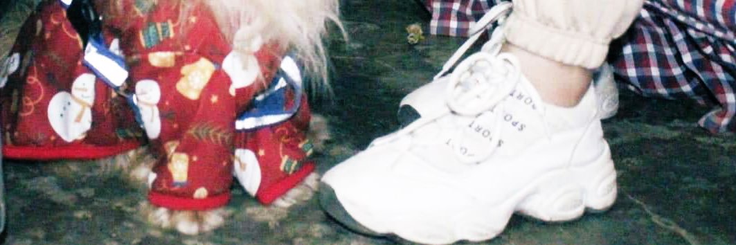 Lyrabcg's profile banner image
