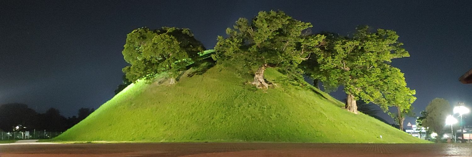 zippersdown's profile banner image