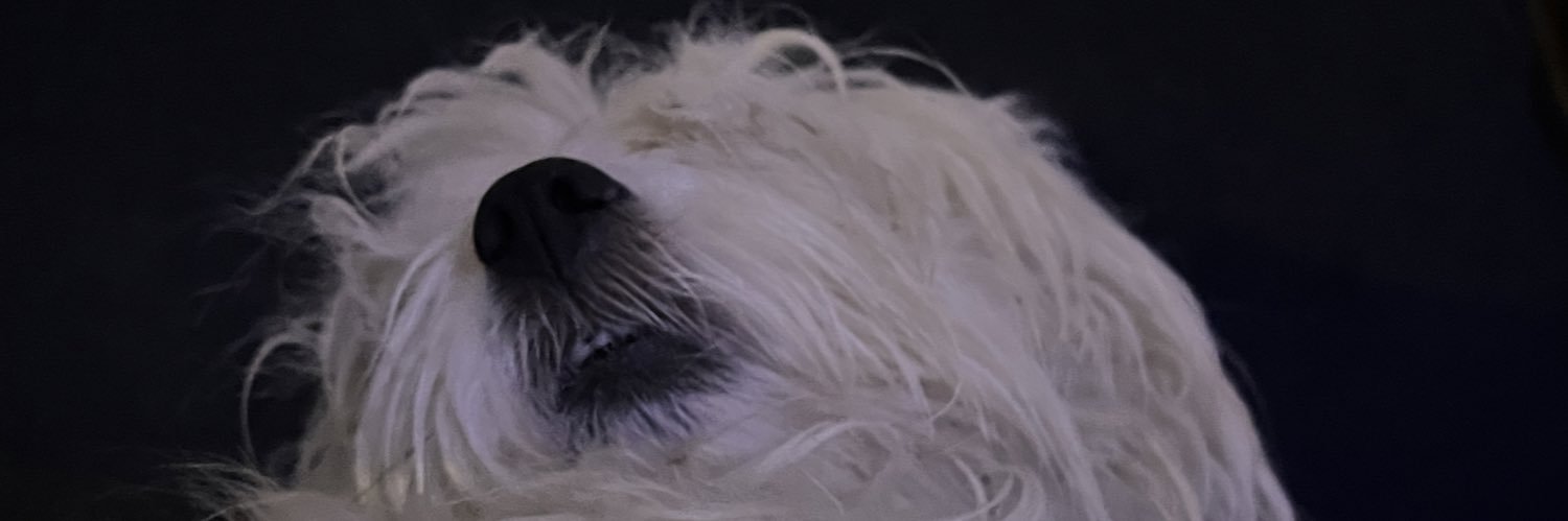 valgzr's profile banner image