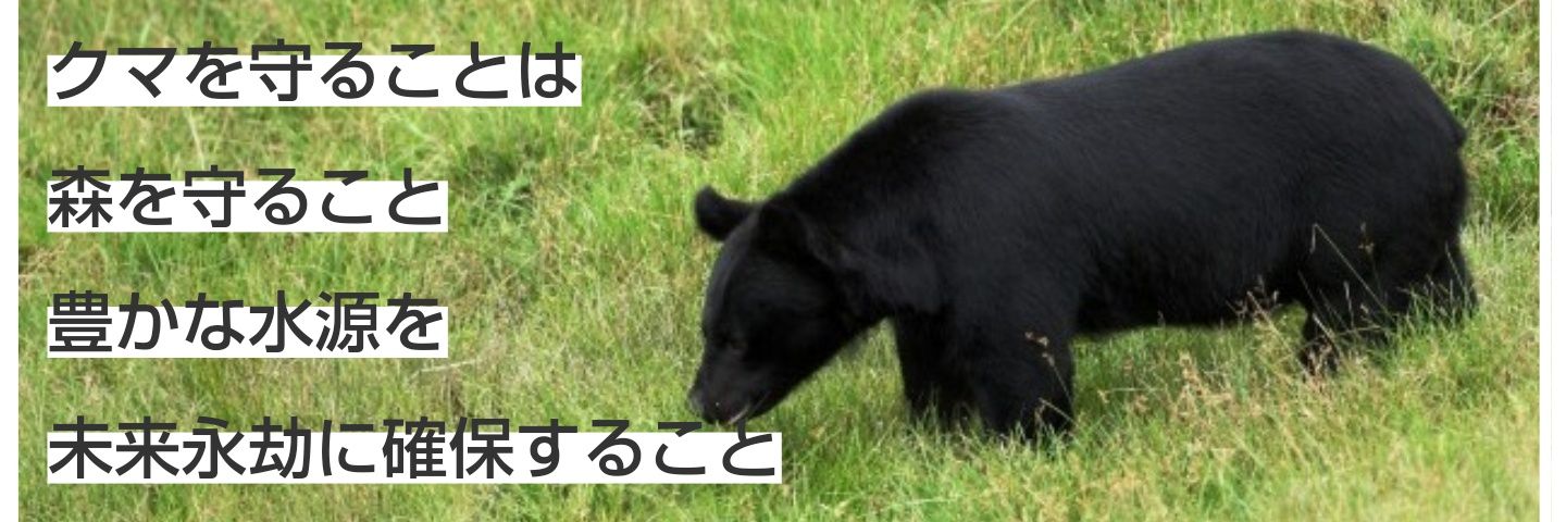 日本熊森協会🐻支部員's banner