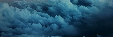 David Barrigoto banner