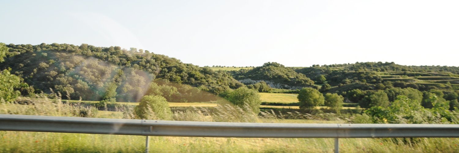 Christina Curell banner