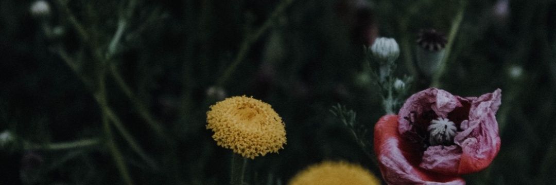Ragnarockks's profile banner image