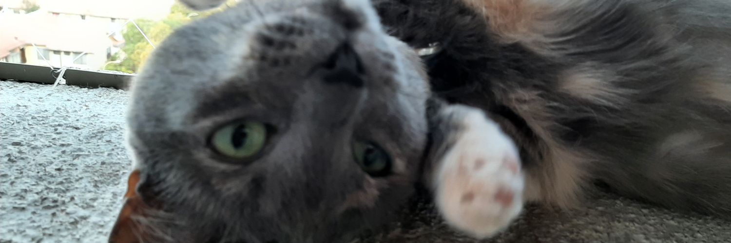kathee7777's profile banner image
