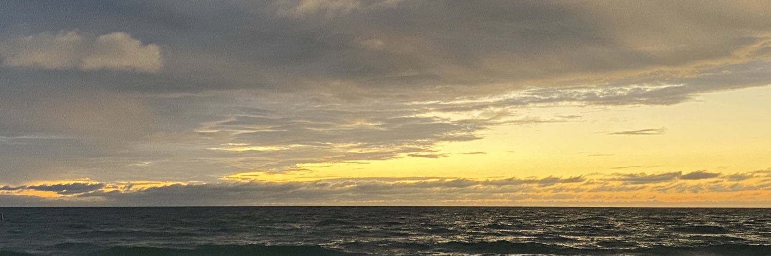 thednddanielle's profile banner image