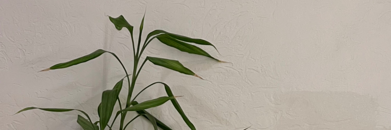 cilv24's profile banner image