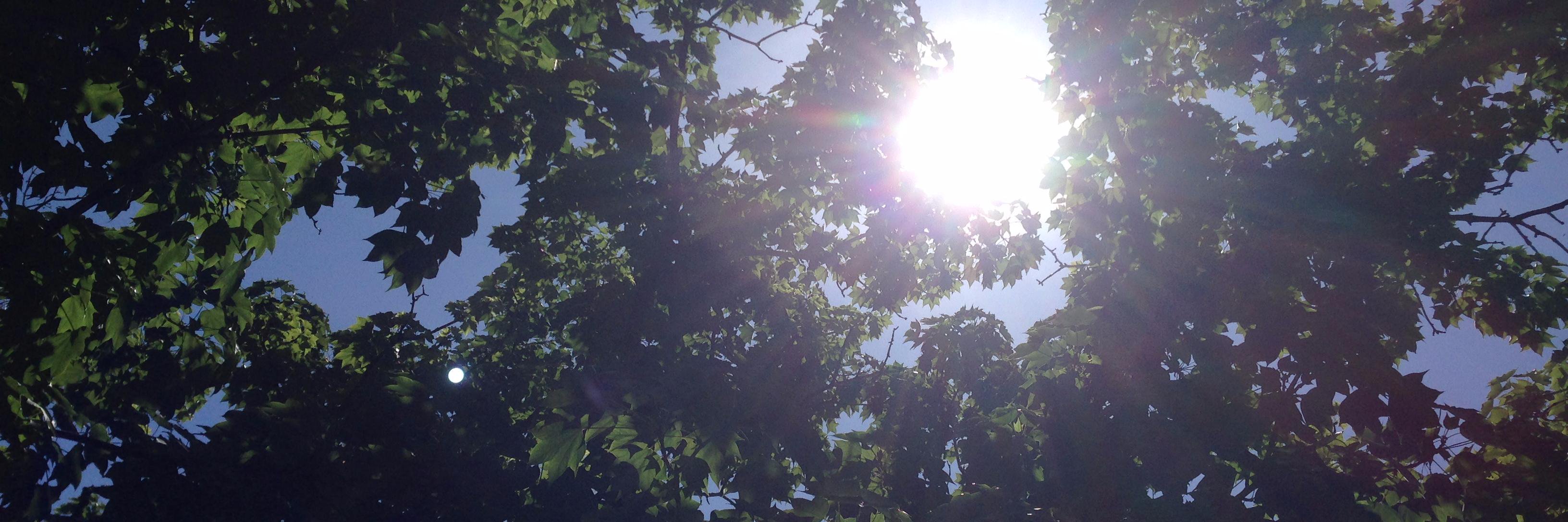 TelescopeAudio's profile banner image