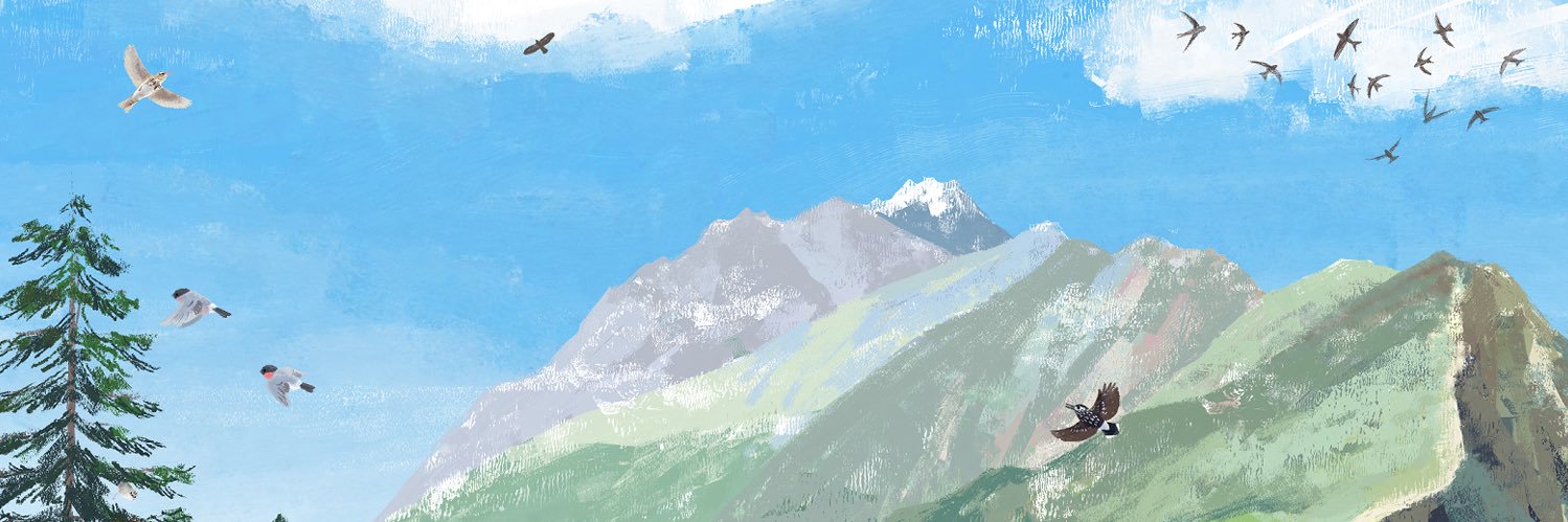 𝚙𝚒𝚛𝚘 𝚙𝚒𝚛𝚘 𝚙𝚒𝚌𝚌𝚘𝚕𝚘's banner