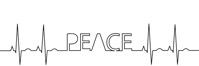 ★aZuSa☆あずさ banner