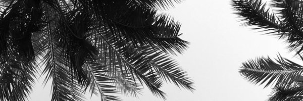 moonday_l Profile Banner