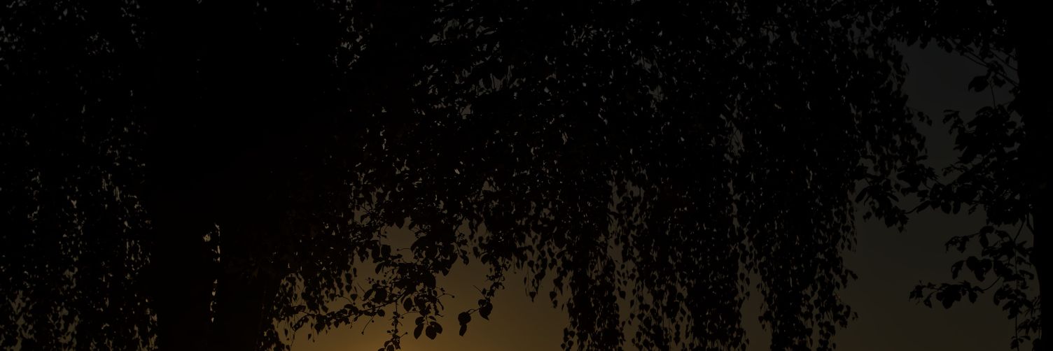 against7th's profile banner image