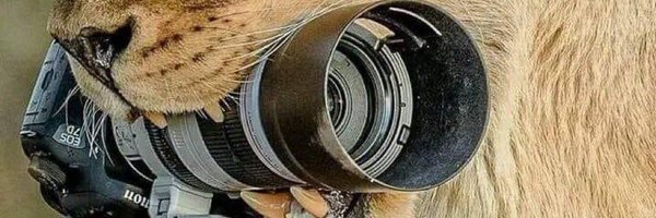 rahulbenno Profile Banner