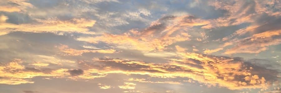 vannemmar's profile banner image
