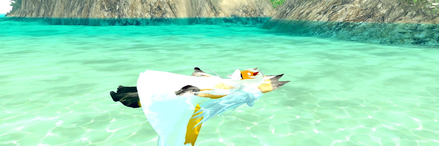 毛玉 banner