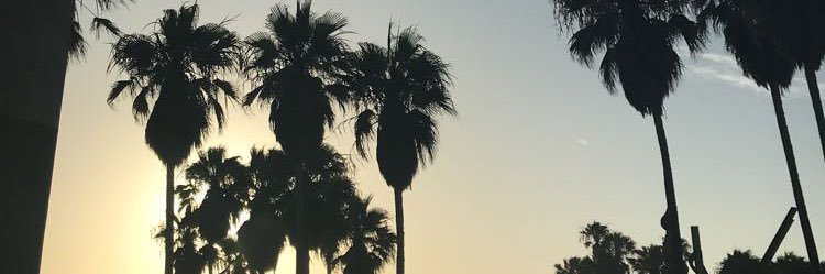 newahashim's profile banner image