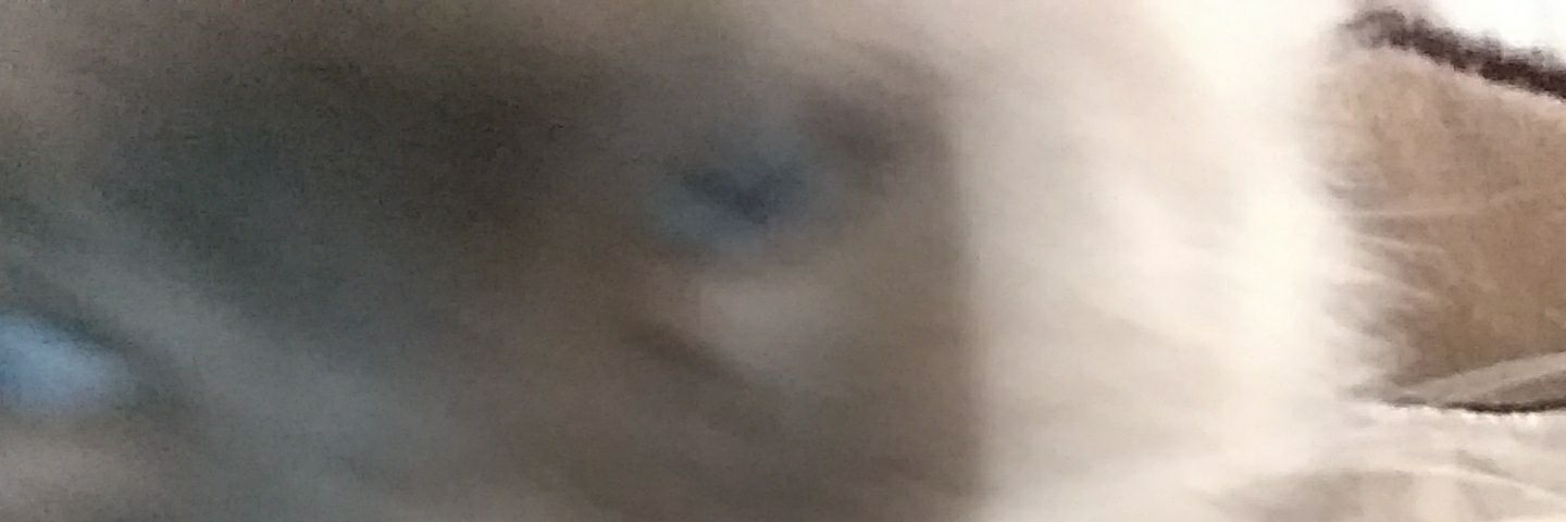 harmonyonesre's profile banner image