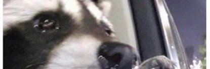 MaraSovvv's profile banner image
