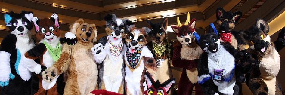 Ember Collie banner