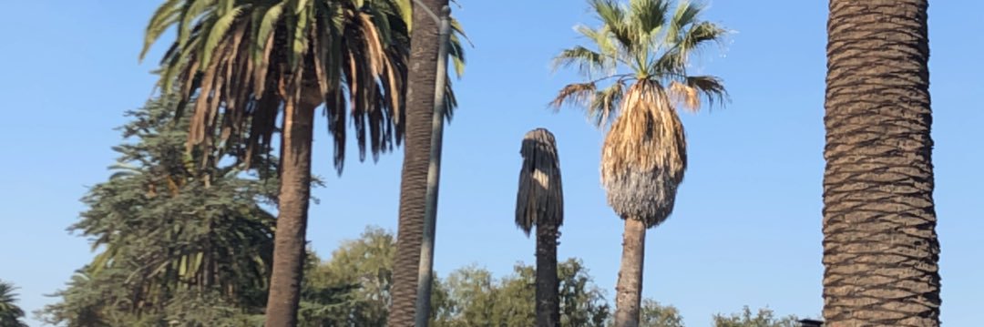 KayyMonaye_'s profile banner image