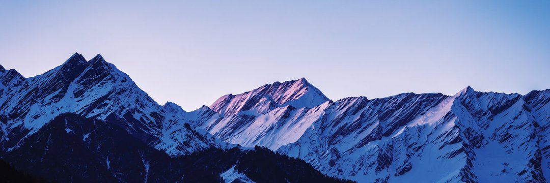 Anne Macey banner