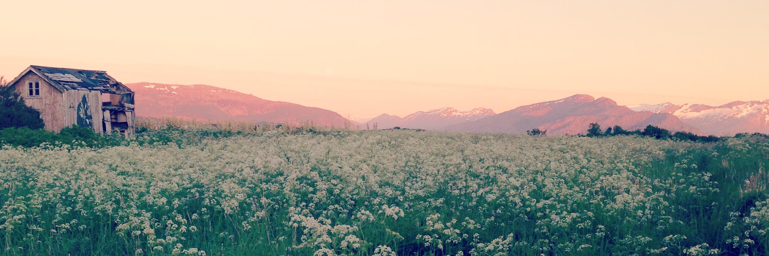 btitiful's profile banner image