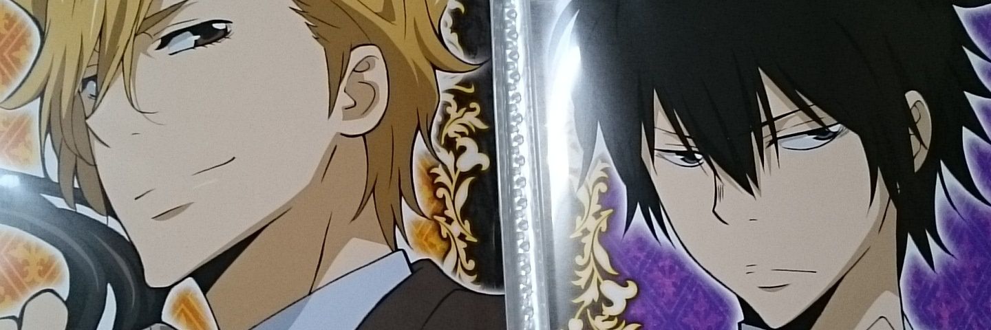 sunflowerDlion's profile banner image