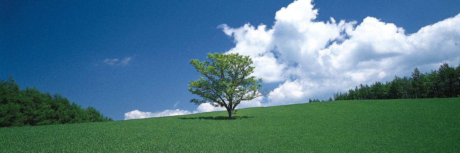 atopyfreecom's profile banner image