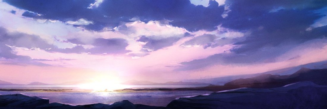 NeS banner