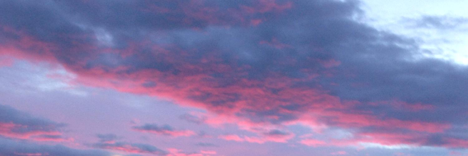 LFeydit's profile banner image