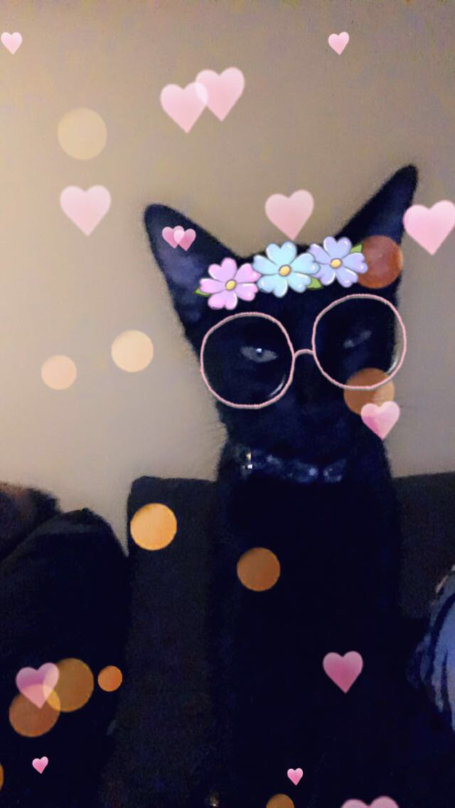 lupideth's profile banner image