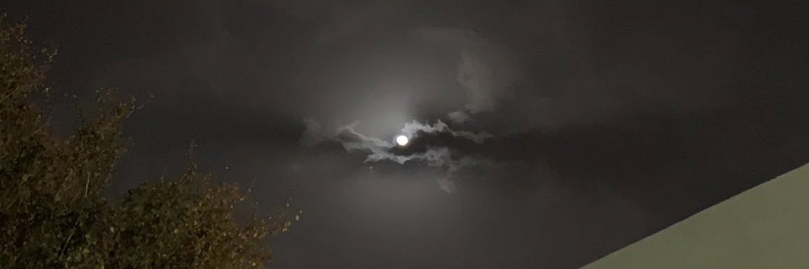 Avi5_'s profile banner image