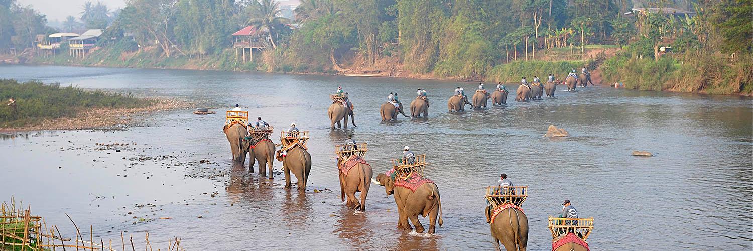 elephantlaos's profile banner image