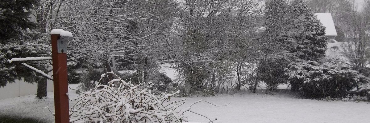 homemadecalm's profile banner image