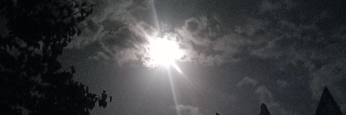 sayedAmjadAliS4's profile banner image