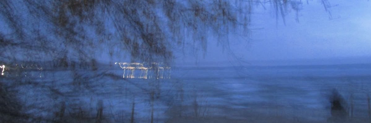 beommybear's profile banner image