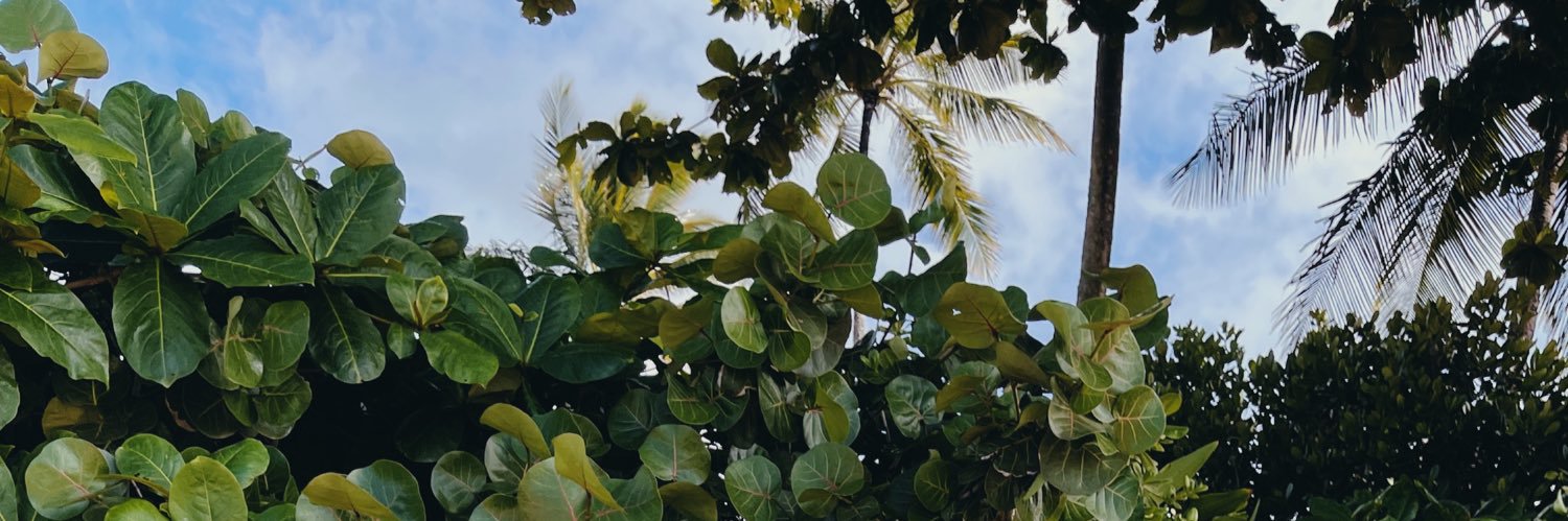 odetojas's profile banner image