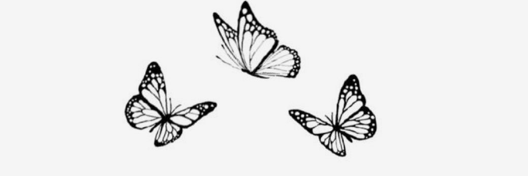 allyschulze's profile banner image