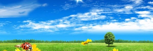 SHAGUVA's profile banner image