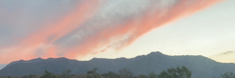 kelscongg's profile banner image