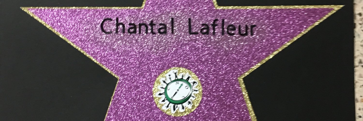 MmeLafleur's profile banner image