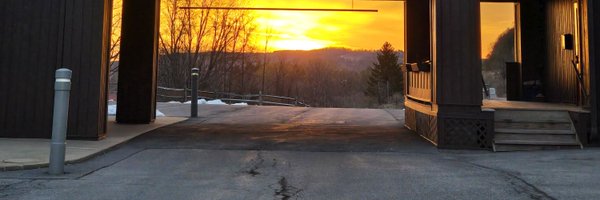 HesThatLemon Profile Banner