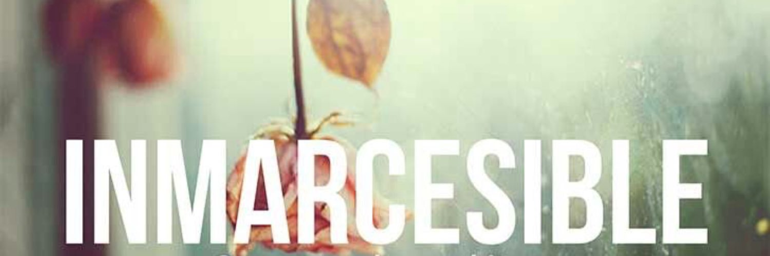 MeryRubay's profile banner image